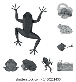 Vector illustration of wild and nature icon. Set of wild and bog stock vector illustration.
