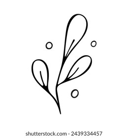Vector illustration of wild plants, branches on a white background.