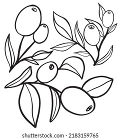 Vector illustration of wild rose. Sketch of berries and leaves, drawing on a white background.