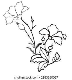 Vector illustration of wild rose. Sketch of berries and leaves, drawing on a white background.