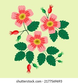 Vector Illustration Wild Rosehip Set