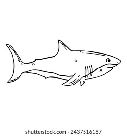Vector illustration of a wild shark drawing in doodle style.
Linear graphic drawing.