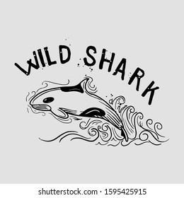 vector illustration wild shark on the sea