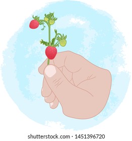 vector illustration wild strawberry branch in hand