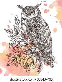 Vector illustration of wild totem animal - Owl in ornamental graphic style with roses, leaves. Watercolor background