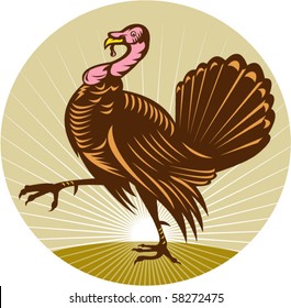 Vector Illustration Of A Wild Turkey Walking Side View Done In Retro Woodcut Style With Sunburst In Background