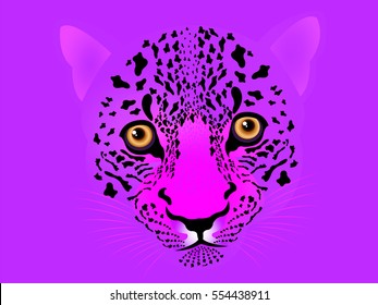 Vector illustration of wildcat background for your design
