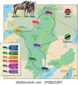 Vector illustration of wildebeest migration shown on the map. The part of the map of Africa is a schematic preview, just to describe migratory routes.