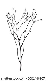 Vector illustration with wildflower. Doodle sketch. 