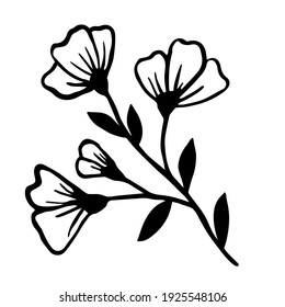 Ilustración vectorial de una mano de flor silvestre dibujada. Elemento botánico aislado sobre fondo blanco. Ramas, hojas, inflorescencias con contorno de tinta. Diseño para postales, impresión, plantilla.