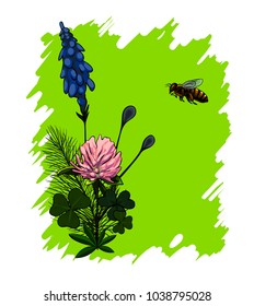 Vector illustration wildflowers with a bee.