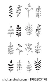 Vector illustration with wildflowers. Doodle sketch. 