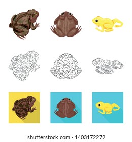 Vector illustration of wildlife and bog logo. Collection of wildlife and reptile stock vector illustration.