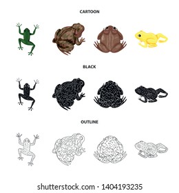 Vector illustration of wildlife and bog logo. Set of wildlife and reptile vector icon for stock.