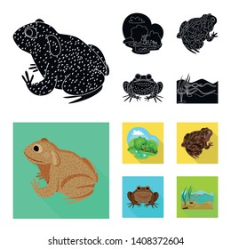 Vector illustration of wildlife and bog logo. Set of wildlife and reptile stock vector illustration.