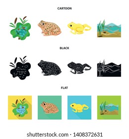 Vector illustration of wildlife and bog logo. Collection of wildlife and reptile stock vector illustration.