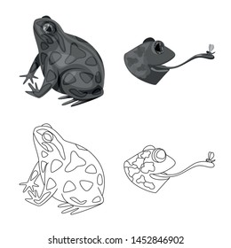 Vector illustration of wildlife and bog logo. Collection of wildlife and reptile stock symbol for web.