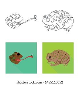 Vector illustration of wildlife and bog logo. Set of wildlife and reptile stock symbol for web.