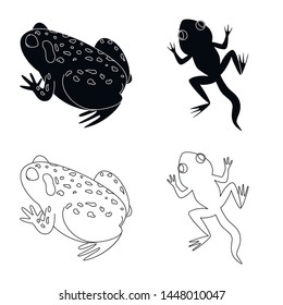 Vector illustration of wildlife and bog sign. Set of wildlife and reptile stock symbol for web.