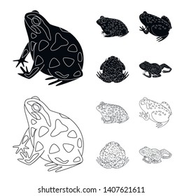 Vector illustration of wildlife and bog symbol. Collection of wildlife and reptile vector icon for stock.