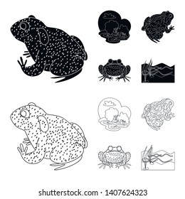 Vector illustration of wildlife and bog symbol. Set of wildlife and reptile stock vector illustration.