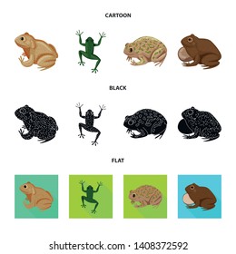 Vector illustration of wildlife and bog symbol. Collection of wildlife and reptile vector icon for stock.