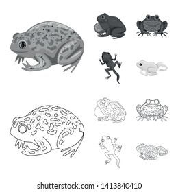 Vector illustration of wildlife and bog symbol. Collection of wildlife and reptile stock vector illustration.