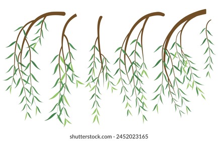 Vector illustration of willow branches