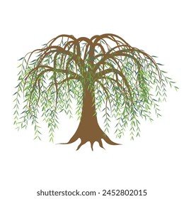 Vector illustration of a willow tree with green leaves