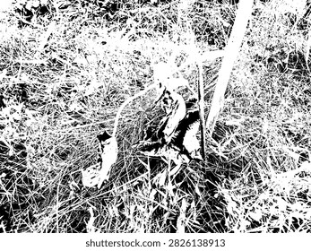 Vector illustration of a wilted balsa seedling with a stake among dry grass in black and white style.