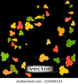 Vector Illustration, Wind Blowing Falling Maple Leaves Red And Yellow Twist, Set For Autumn Design .