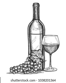 Vector illustration of a wine glass, bottle and grapes bunch still life. Vintage engraving style.