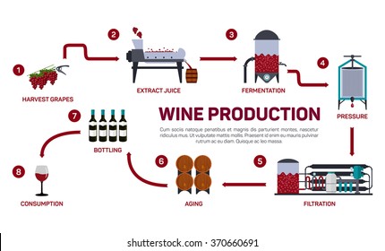 Vector illustration of wine making. How wine is made, wine elements, creating a wine, winemaker tool set and vineyard, flat infographic. Production of alcoholic beverages.