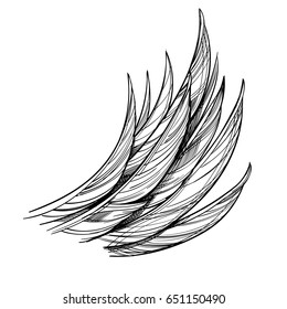 Vector illustration of wing, isolated on white background. Design element for tattoo, emblem, sign, vintage style posters and more.