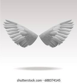 vector illustration of wings
