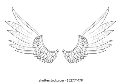 Vector illustration wings, EPS 10