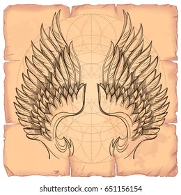 Vector illustration of wings on the background of old paper. Design element for emblem, sign, vintage style posters and more.