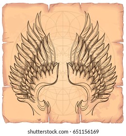 Vector illustration of wings on the background of old paper. Design element for emblem, sign, vintage style posters and more.