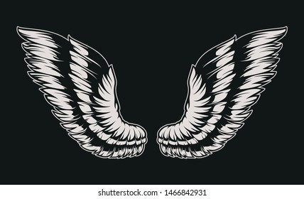 Vector illustration of wings on dark background.
