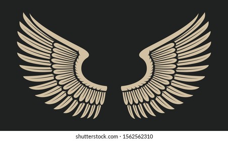 Vector illustration of wings on dark background.