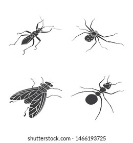 Vector illustration of wings and wing symbol. Collection of wings and fly vector icon for stock.