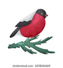 Vector illustration with winter bird: bullfinch