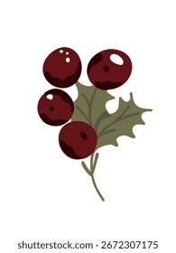 vector illustration winter branch with red berries