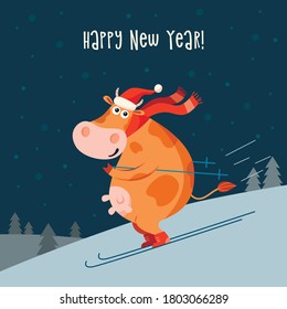 Vector illustration of winter cow in Christmas accessories skiing. Symbol of 2021. Happy New year greeting card, poster