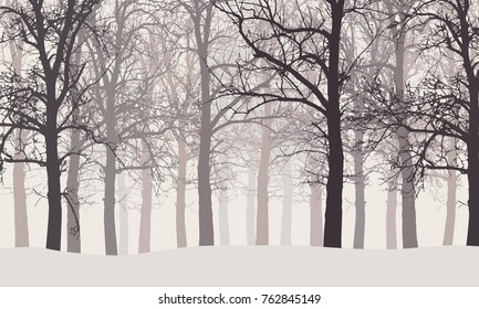 Vector Illustration Of A Winter Forest Without Leaves With Snow And Hazy Backgrounds