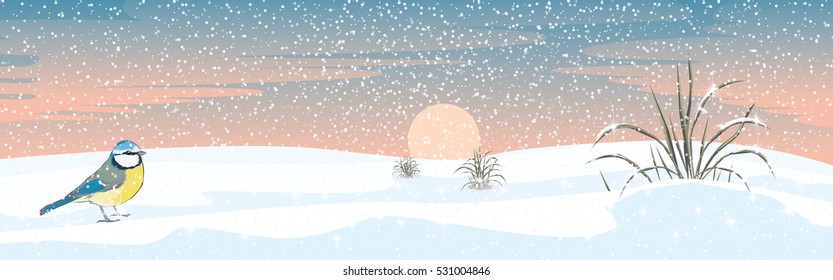 Vector illustration of a winter landscape a field with a songbird and sunset with clouds and snowfall winter ambiance cold and frosty