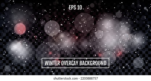 Ilustración vectorial. Superposición de invierno para uso en el fondo. Nevada. Blizzard. Escarcha. Fondo superior nevado. Plantilla para fondos de pantalla, páginas web, banners. Concepto de tormenta de nieve. Vidrio congelante