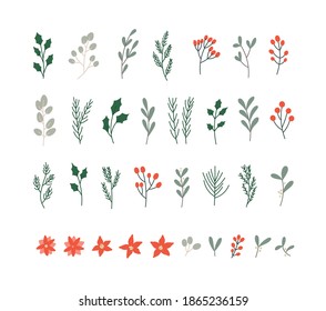Ilustración vectorial de las plantas invernales: bayas, mistletoe, poinsettias, pino, cedro, abeto azul. Plantas de Navidad dibujadas a mano decoradas con colores brillantes. Adecuado para postales, invitaciones, diseño web.