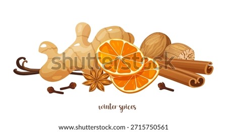 Vector illustration of winter spices collection including ginger root, dried orange slices, cinnamon sticks, nutmegs, star anise, dried vanilla beans and cloves arranged on a clean white background, with elegant lettering.