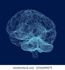 Vector illustration of wireframe human brain from blue lines. 3D
